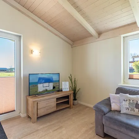 Strandflieder Dagebüll