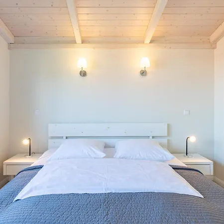 Strandflieder Dagebüll